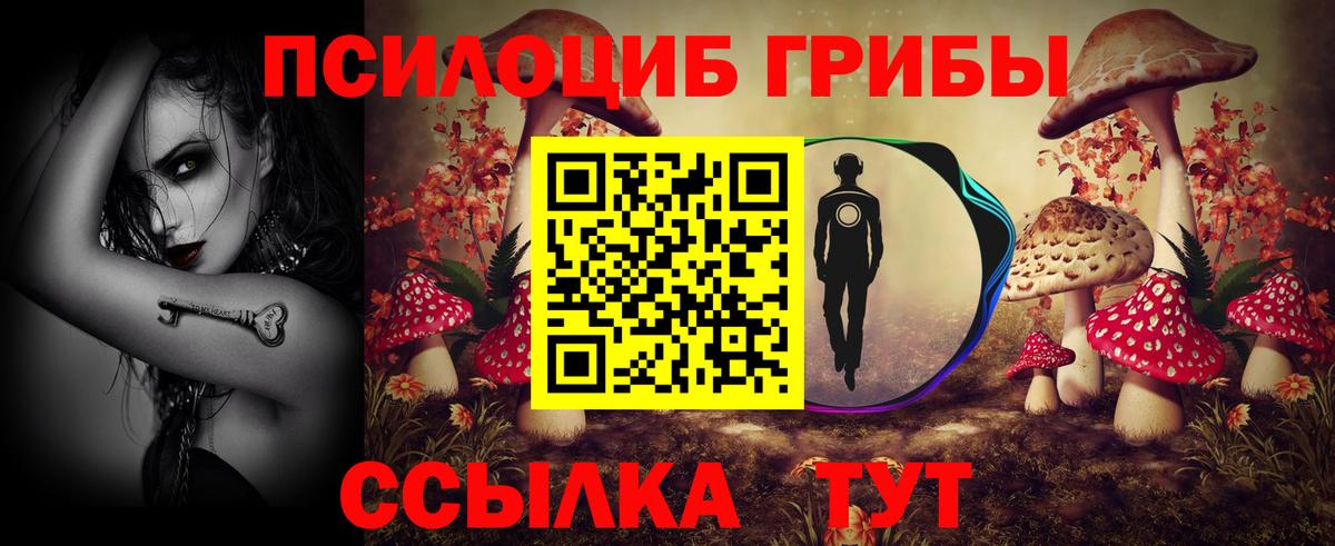 Реж  Псилоцибиновые грибы мицелий  наркота  Галлюциногенные грибы Cubensis  Вход с VPN 