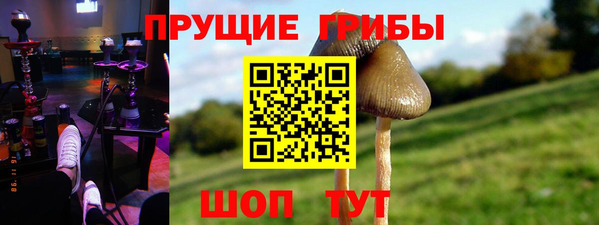 Галлюциногенные грибы Psilocybine cubensis Реж